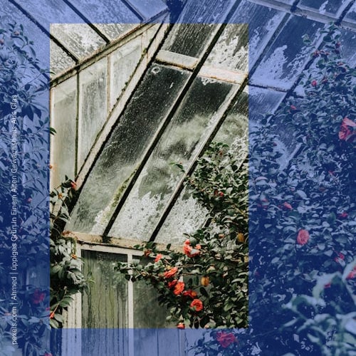 Fensterreinigung Frankfurt - Noch nicht gereinigtes Wintergarten